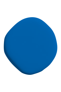 43 Warm Blue