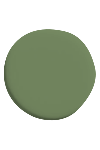 51 Olive Green