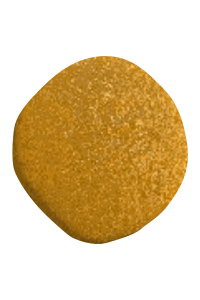 58 Metallic Gold
