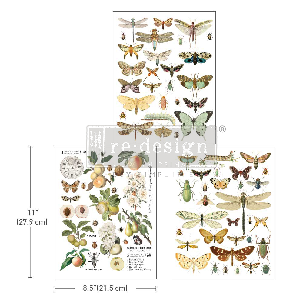 Redesign Transzferfólia Middy - Bug Whisperer