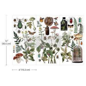 Redesign transzferfólia – Botanical Archives