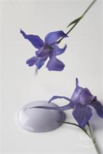 Vintage Paint krétafesték - French Lavender - Image 3