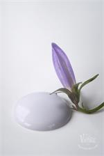 Vintage Paint krétafesték - Faded Lavender - Image 6