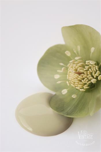 Vintage Paint krétafesték - Antique Green - Image 16