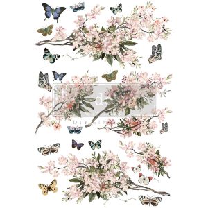 Redesign transzferfólia - Blossom Botanica