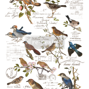 Redesign transzferfólia - Postal Birds
